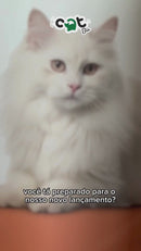 Areia Higienica Biodegradável para Gatos - Catbio Tofu - 2kg - Sem Poeira Boa Absorcao Forma torrão Vegetal